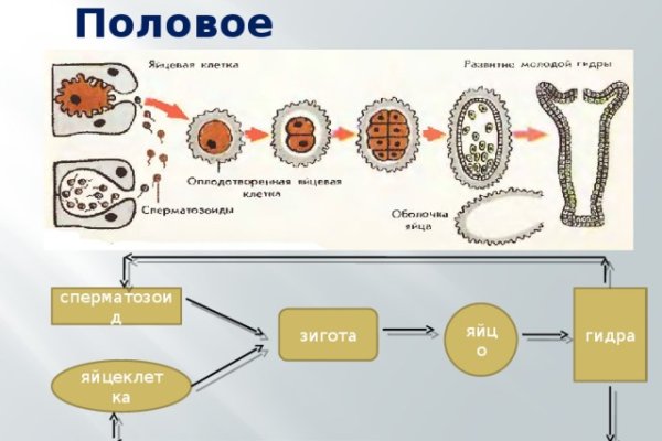 Что такое кракен шоп