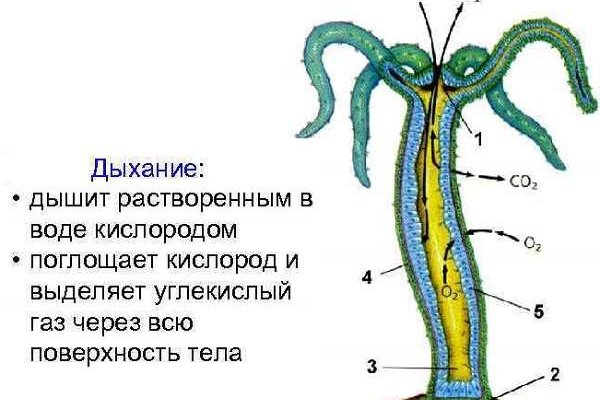 2krn ссылка