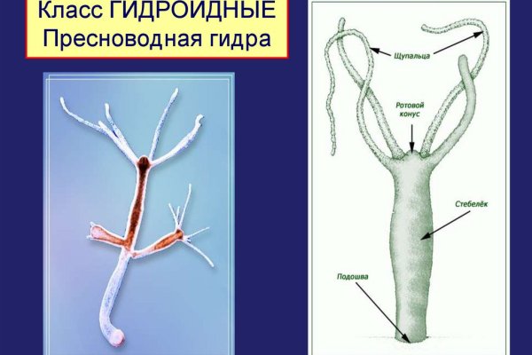 Ссылка на кракен реальная